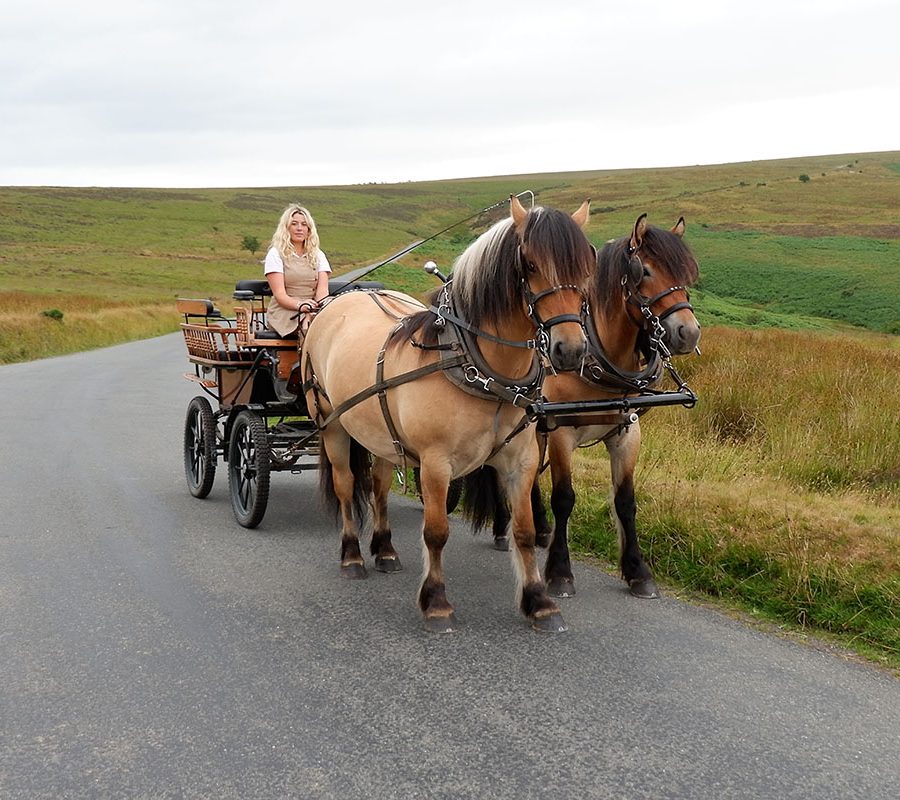 03-camilla-carriage