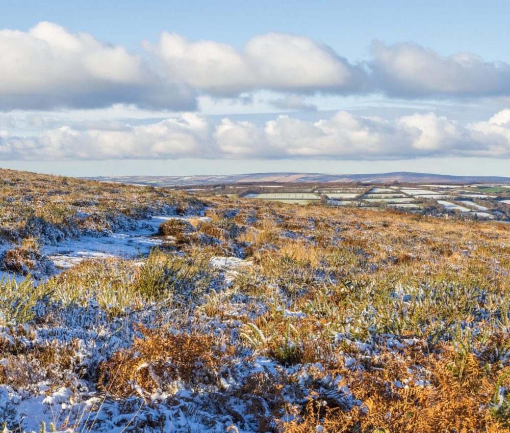 Dunkery Beacon from Haddon Hill - Nov-24 Clive Dunkey